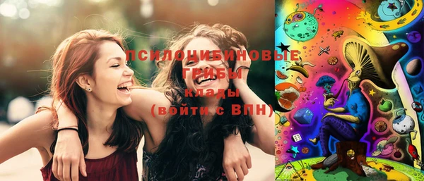 ГАЛЛЮЦИНОГЕННЫЕ ГРИБЫ Алексеевка