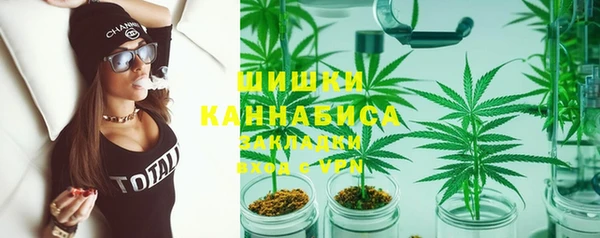ПСИЛОЦИБИНОВЫЕ ГРИБЫ Алзамай