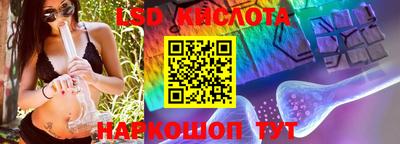 ПСИЛОЦИБИНОВЫЕ ГРИБЫ Можга
