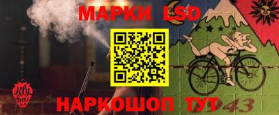 ПСИЛОЦИБИНОВЫЕ ГРИБЫ Можга